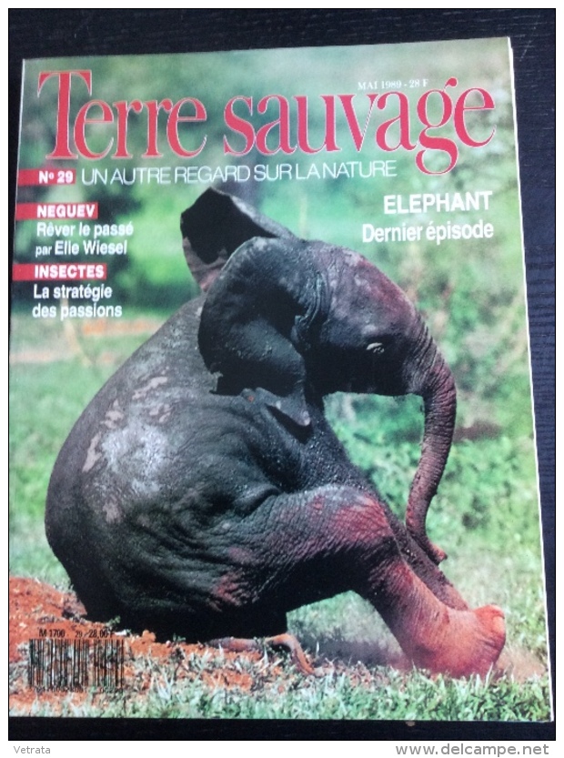 TERRE SAUVAGE N° 29 : Neguev, E. Wiesel _ Elephant - Insectes. 1989 - Animaux