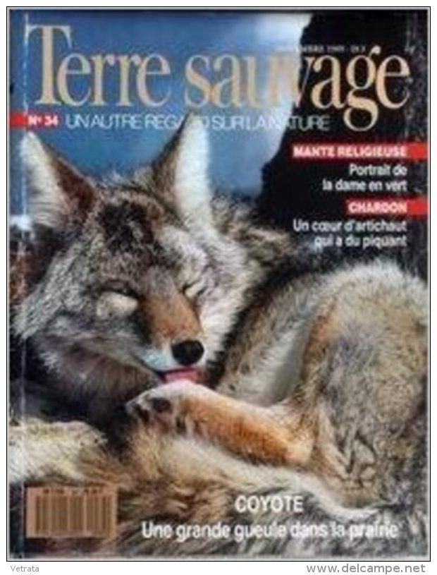 TERRE SAUVAGE N° 34 : Mante Religieuse - Chardon - Coyote. 1989 - Animaux