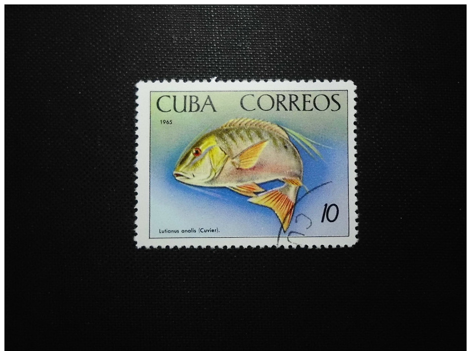 Cuba  1965    Fishes - Oblitérés