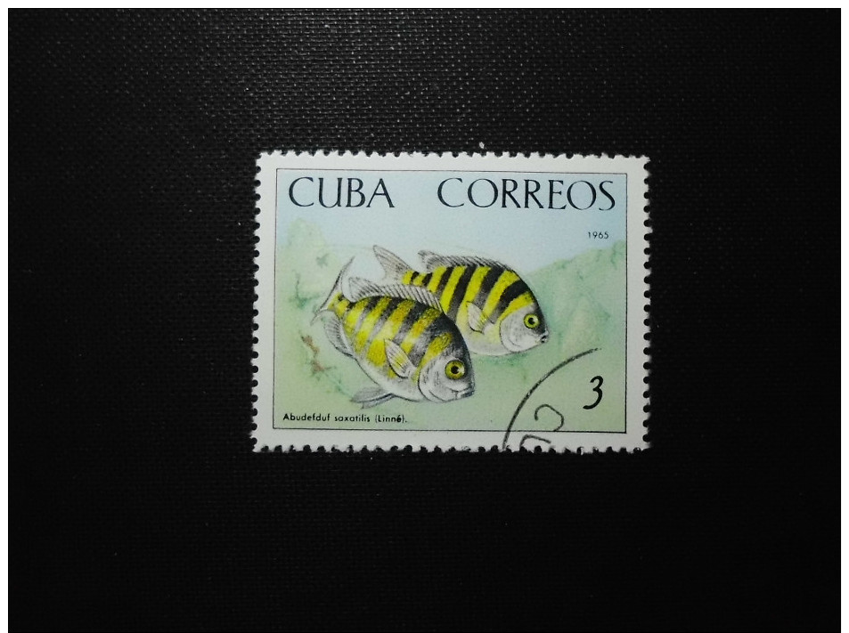 Cuba  1965    Fishes - Oblitérés