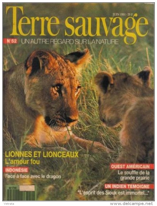 TERRE SAUVAGE N° 52 : Lionnes Et Lionceaux - L'amour Fou. - Les Sioux - Indonésie & Dragon.  1991 - Animaux