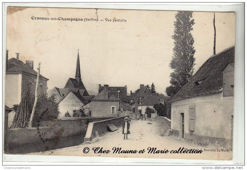 CRANNES EN CHAMPAGNE - VUE PARTIELLE - SARTHE 72 - CPA - Autres & Non Classés