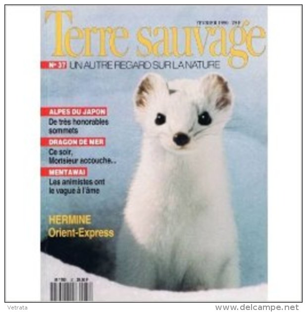 TERRE SAUVAGE N° 37 : Alpes Du Japon - Dragon De Mer - Mentawai - Hermine. 1990 - Animaux