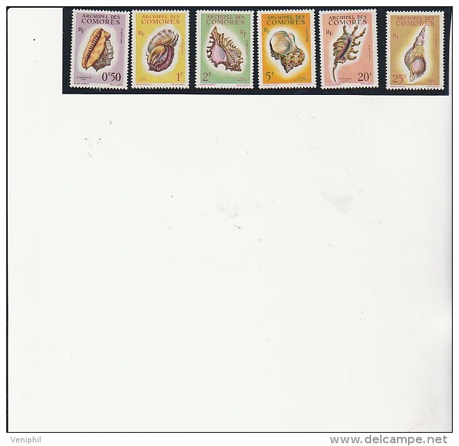 COMORES - SERIE COQUILLAGES NEUVE XX N° 19 A 24 -ANNEE 1962  COTE : 40 € - Unused Stamps