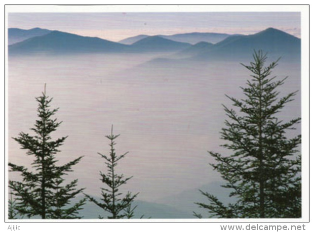 Great Smoky Mountains (Waterrock Knob 1920 M. Carte Postale, Circulée, éditions J.Scott - Autres & Non Classés