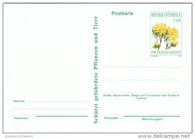 FLORA-L2 - AUTRICHE Entier Postal Carte Avec Adonis Printanière - Cartes Postales