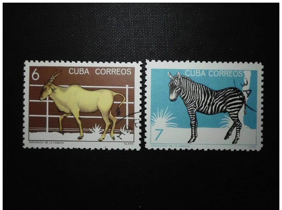 Cuba  1978    Zoo, Havanna - Gebruikt