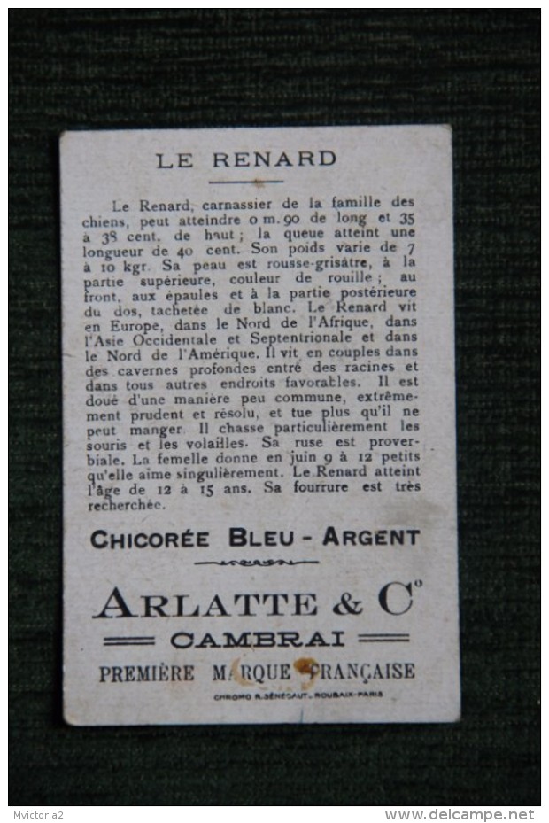 IMAGE - CHICOREE BLEU ARGENT , " LE RENARD ". CAMBRAI "ARLATTE Et Cie" - Autres & Non Classés