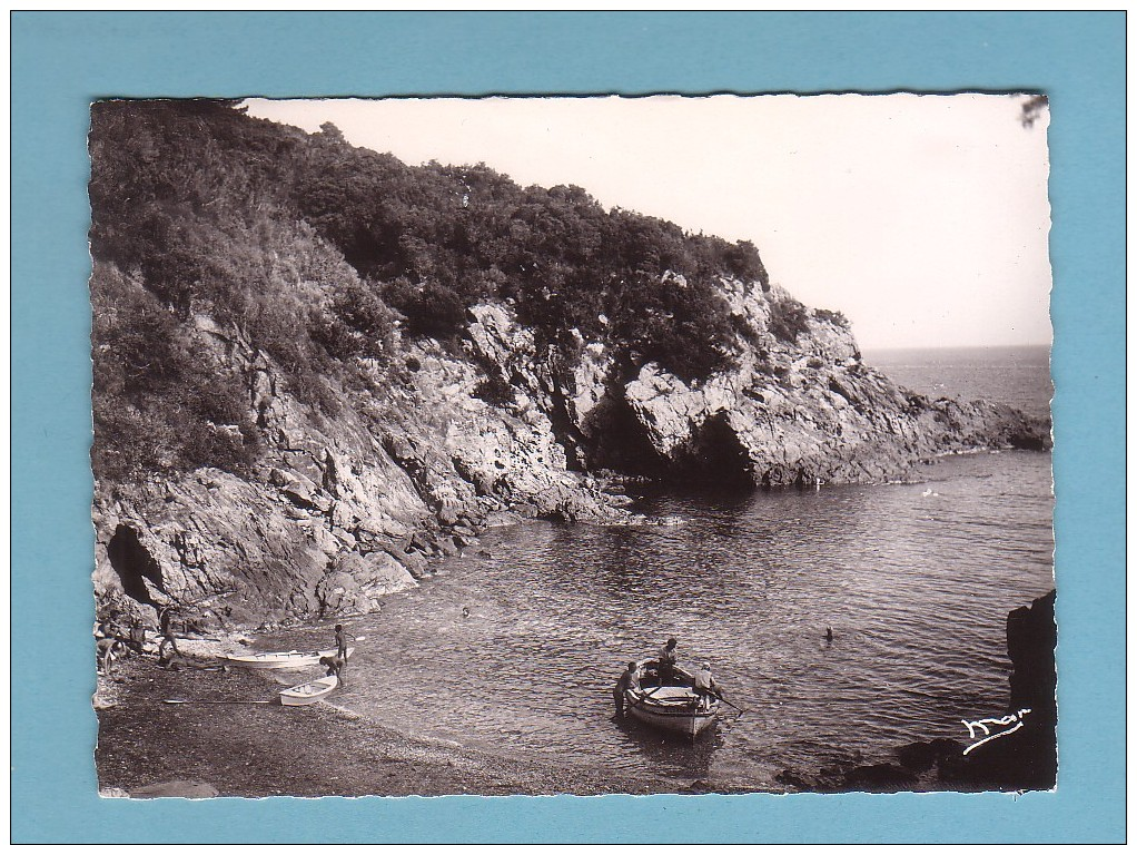 Var, ILE Du LEVANT, PLAGE RIOUFREDE, Barque // FORMAT 10 X 15 - Altri & Non Classificati