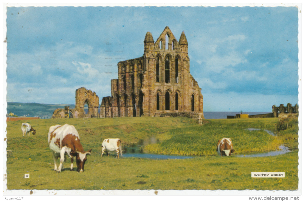 Whitby Abbey, 1970 Postcard - Whitby