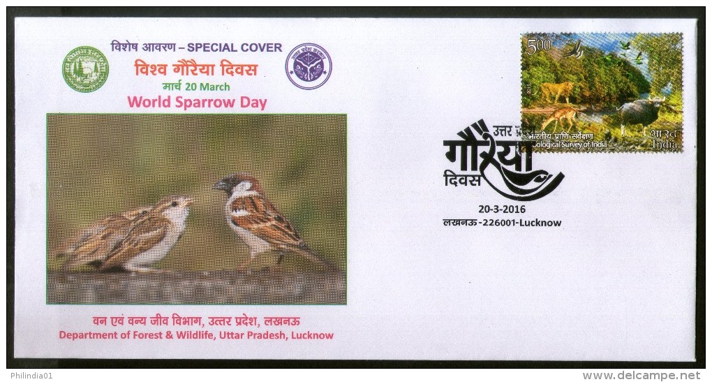 India 2016 World Sparrow Day Birds Department Of Forest & Wildlife Special Cover # 6601 Inde Indien - Sparrows