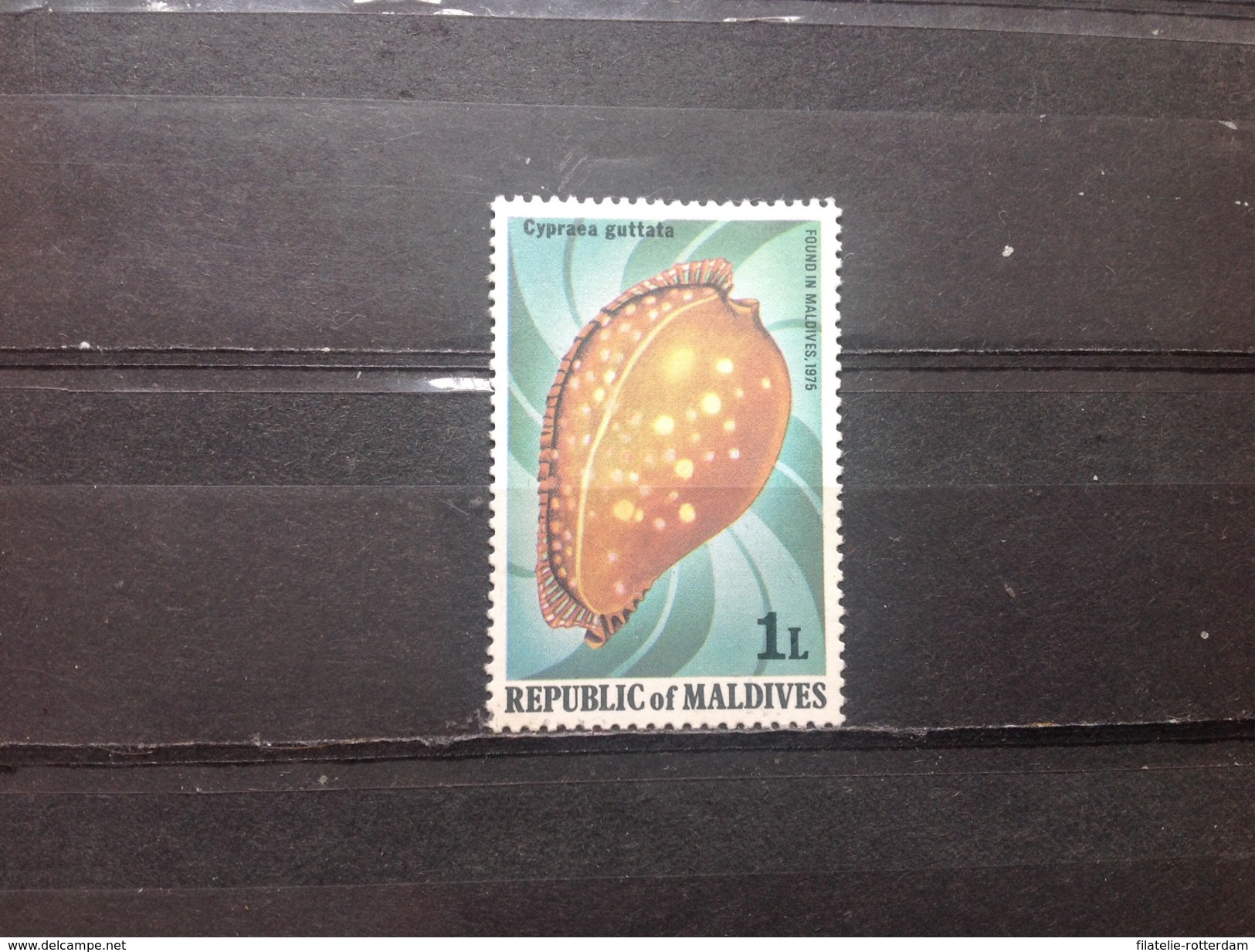 Maldives - Postfris / MNH - Vruchten (1) 1975 - Maldiven (1965-...)