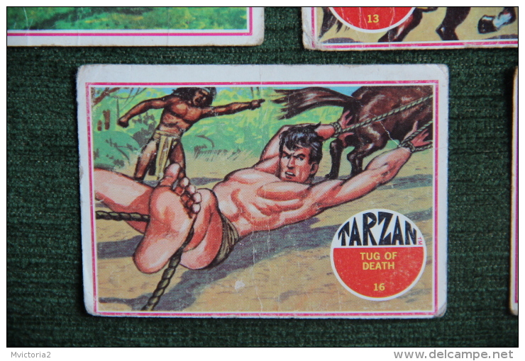 11 Images de TARZAN - BANNER PRODUCTION.