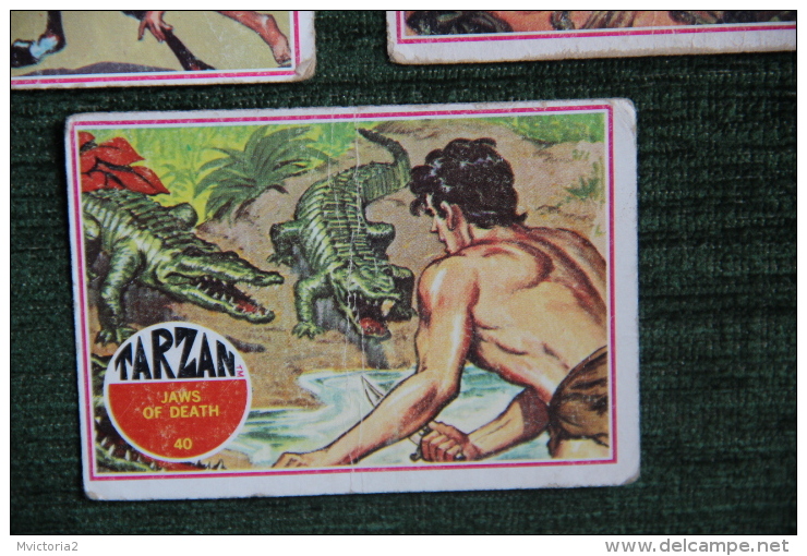 11 Images de TARZAN - BANNER PRODUCTION.