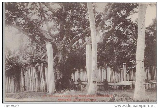 CPA Ancienne Nouvelle Calédonie Océanie Calédonia Non Circulé Nouméa - Neukaledonien