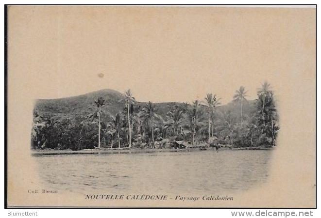 CPA Ancienne Nouvelle Calédonie Océanie Calédonia Ecrite - Nieuw-Caledonië