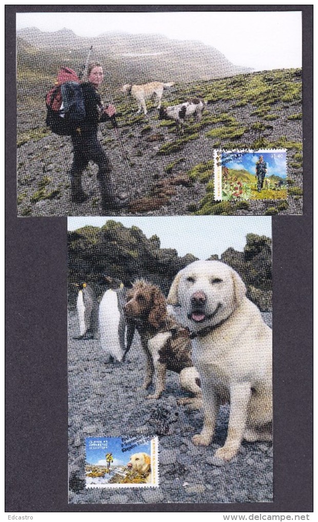 AUSTRALIA 2015 FOUR MAXIMUM CARDS DOGS MACQUARIES ISLANDS - Cartas Máxima