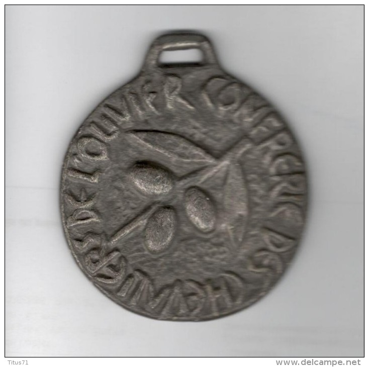 Médaille Confrérie Des Chevaliers De L´Olivier - Noyons -  1964 - Professionnels / De Société