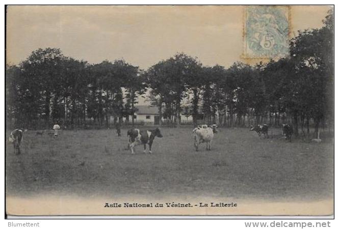 CPA Yvelines Le Vésinet Circulé Asile - Le Vésinet