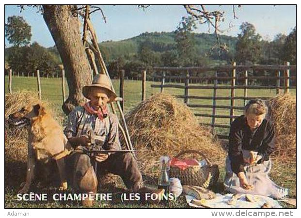 RECETTE       H133      Pique Nique     Scène Champêtre ( Les Foins ) - Recepten (kook)