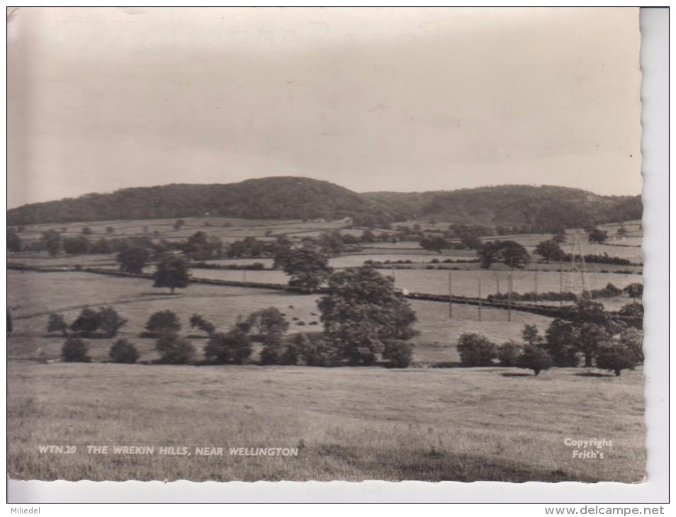 385 - NOUVELLE ZELANDE - THE WREKIN HILLS - Near WELLINGTON - Nouvelle-Zélande