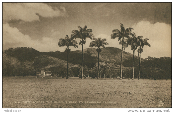 TT TRINIDAD / View Across The Queen's Park To Savannah / - Trinidad