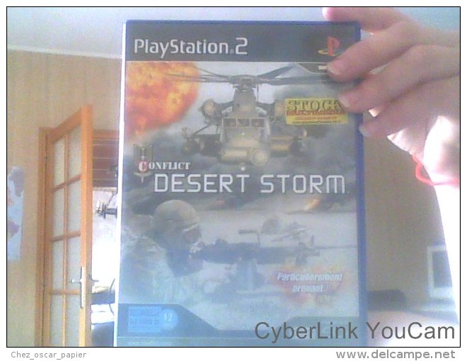 Jeu Playstation 2 Conflit Desert Storm - Playstation 2