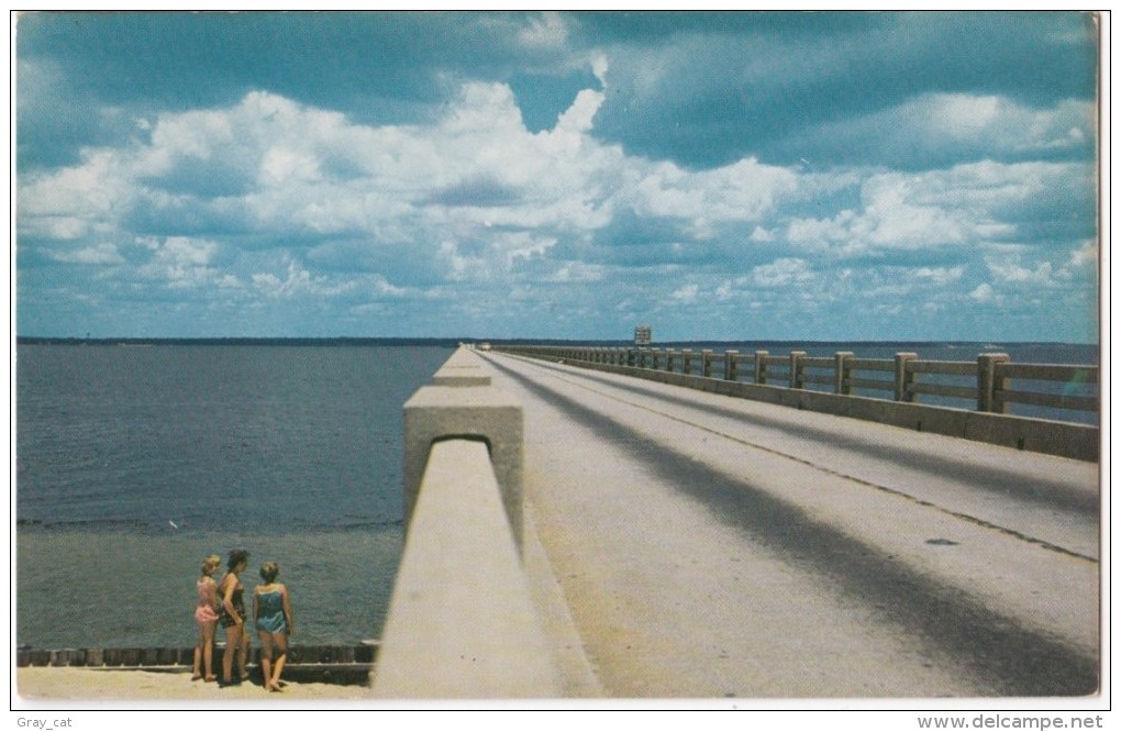 Pensacola Bay Bridge, Unused Postcard [17597] - Pensacola
