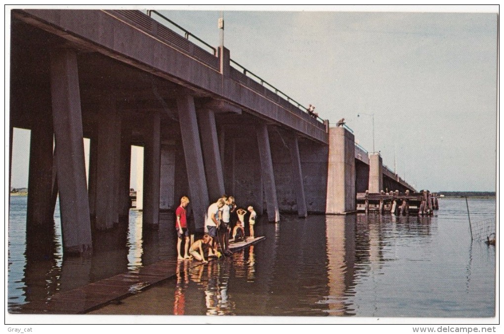 Bridge At Ocean City, Maryland, Unused Postcard [17617] - Ocean City