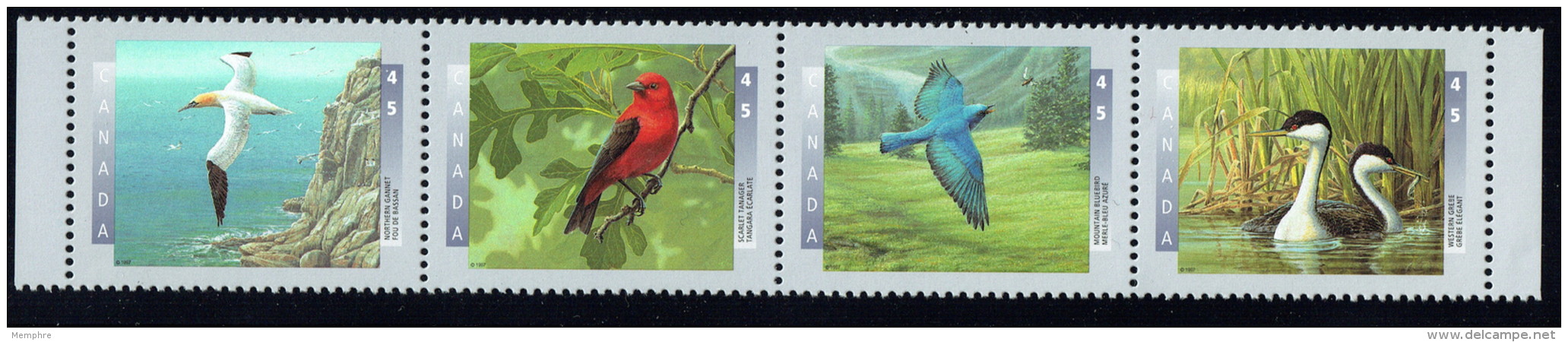 1997  Birds Of Canada  Series 2 Strip Of 4 Different Sc 1631-4  MNH - Unused Stamps