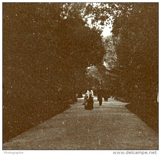 France Vacances En Cote D'Azur Foret Ancienne Photo Amateur Stereoscope Pourtoy 1900 - Stereoscopic