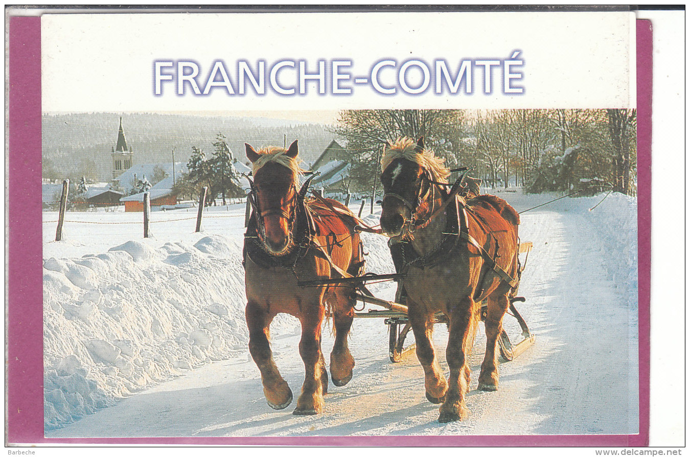 FRANCHE-COMTE .- CHEVAUX - ATTELAGE - Franche-Comté