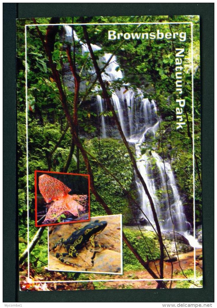 SURINAM  -  Brownsberg Nature Park  Princess Irene Falls   Used Postcard As Scans - Surinam