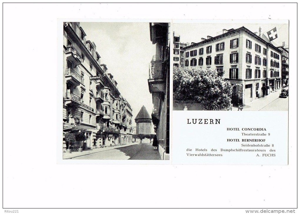 Suisse - Hotel Concordia - Hotel Bernerhof - Lucerne LUZERN - Carte Publicité - Luzern