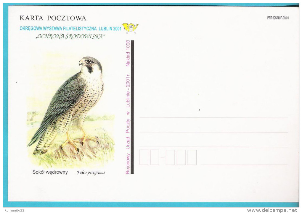 Poland 2001, Lublin, Poczta Polska, Entire, Postcard, Falcon, Birds, Oiseau, LIMITED EDITION - Aigles & Rapaces Diurnes