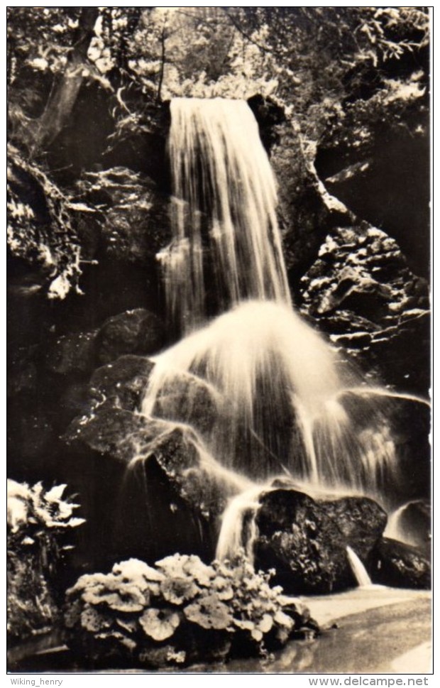 Kirnitzschtal Lichtenhain - S/w Lichtenhainer Wasserfall 3 - Kirnitzschtal