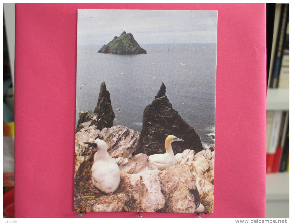 Irlande - Kerry - Gannets And The Skelling Rocks - Très Bon état - Joli Timbre - Scans Recto-verso - Kerry