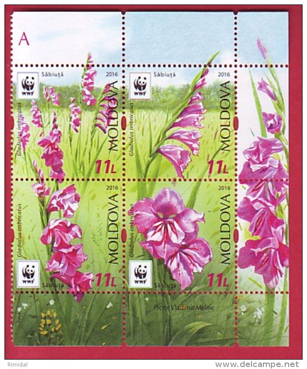 R* MOLDOVA 4 V. SET WWF FLOWERS SABIUTA GLADIOLUS IMBRICATUS 2016 - Autres & Non Classés