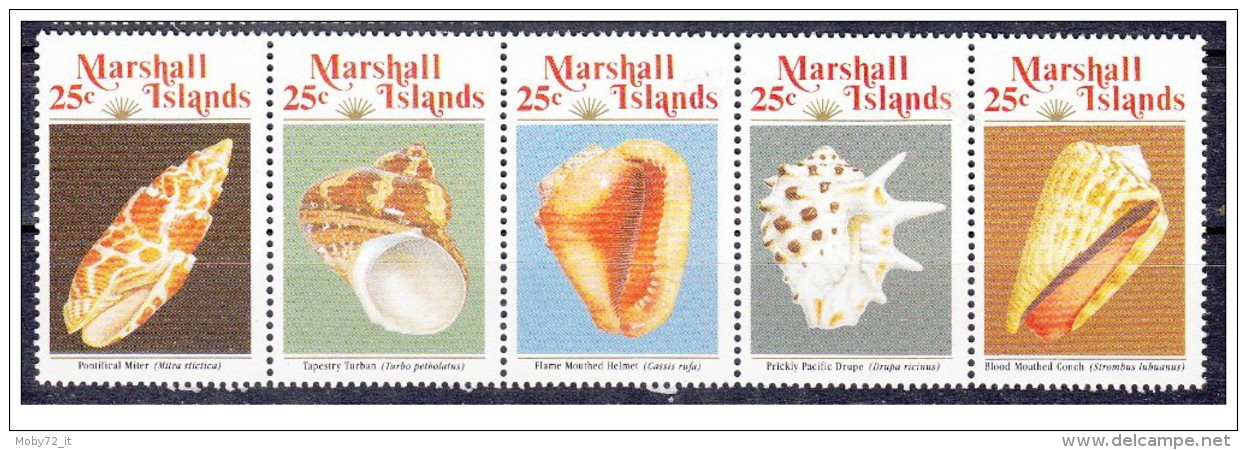 Isole Marshall - 1989 - Nuovo/new MNH - Conchiglie - Mi N. 212/16 - Marshall