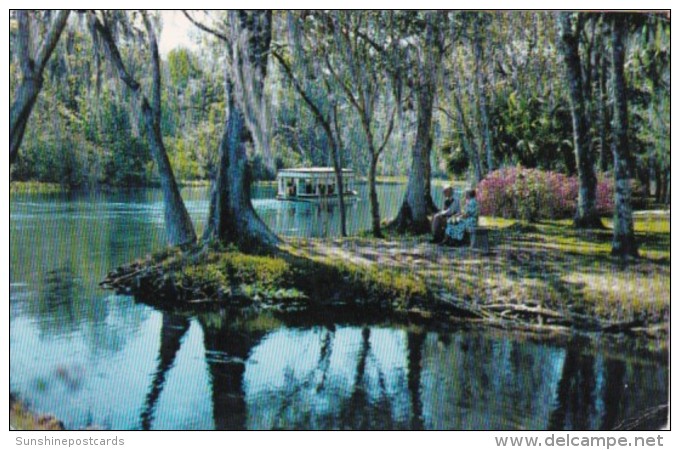 Florida Silver Springs Glass Bottom Boat Along Silver River 1975 - Silver Springs