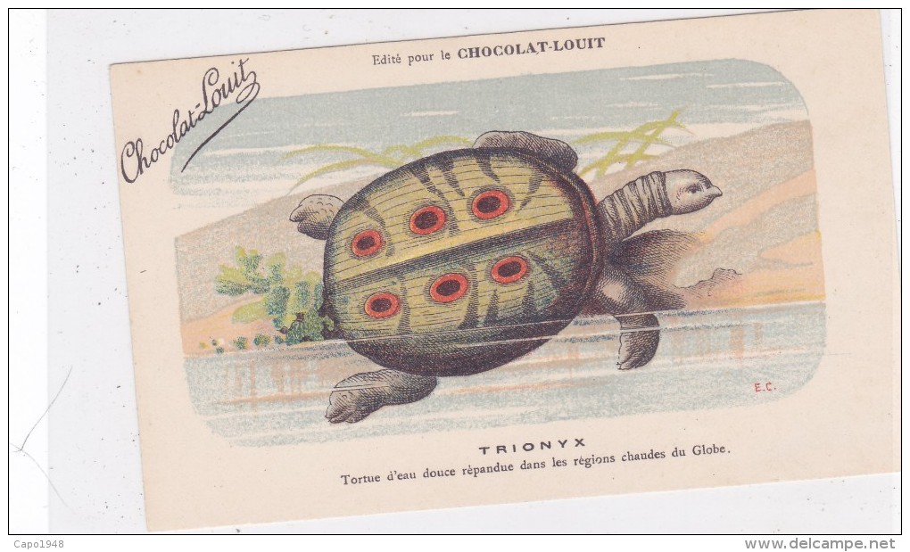 CARD TARTARUGA-TORTUE "TRIONIX"  PUB "CHOCOLAT-LOUIT  FIRMA E.C.-FP-N-2-0882-25312 - Tartarughe