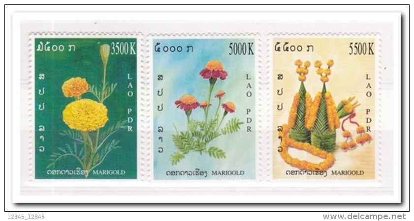 Laos 2004, Postfris MNH, Flowers - Laos