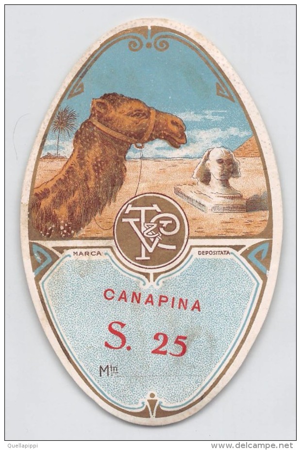 04321 "T & V - CANAPINA S.25"  ETICHETTA ORIGINALE PER FILATI/TESSUTI - LORIGINAL LABEL FOR THREADS - Adesivi