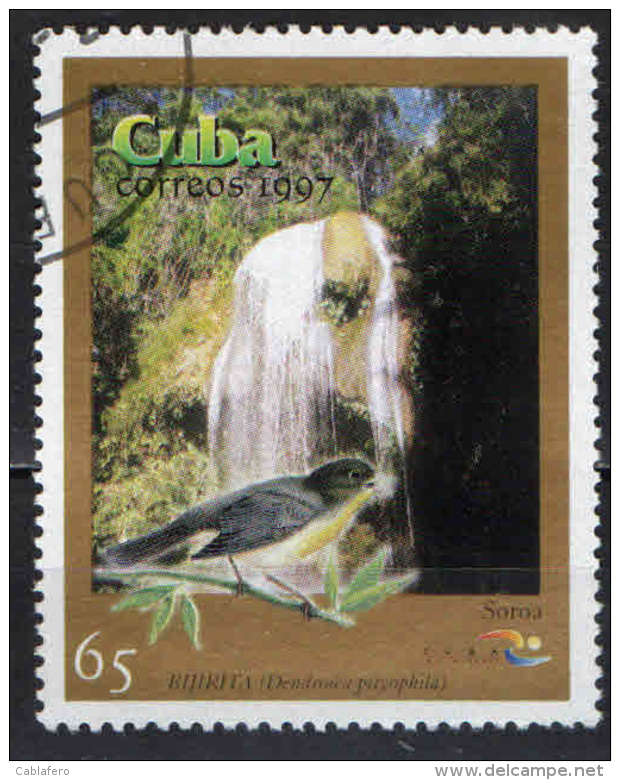 CUBA - 1996 - UCCELLO E CASCATE DI SOROA - Dendroica Pityophila, Soroa Falls - USATO - Usati