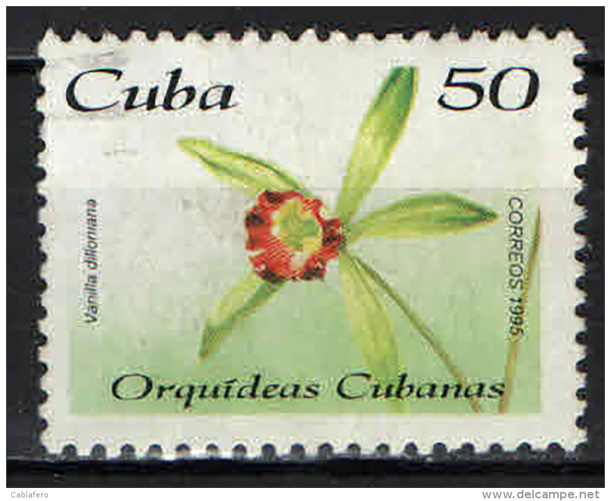 CUBA - 1995 - ORCHIDEA CUBANA - USATO - Usati