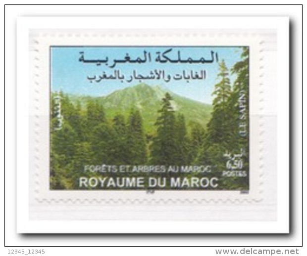 Marokko 2003, Postfris MNH, Trees - Marokko (1956-...)