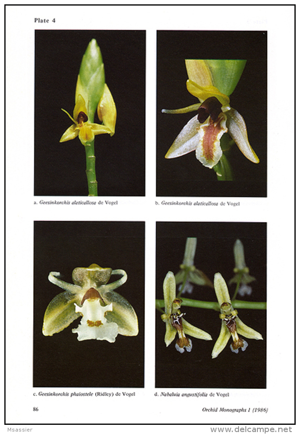 Orchid Monographs N°1 à 4 - Vogel & Al. - Otros & Sin Clasificación