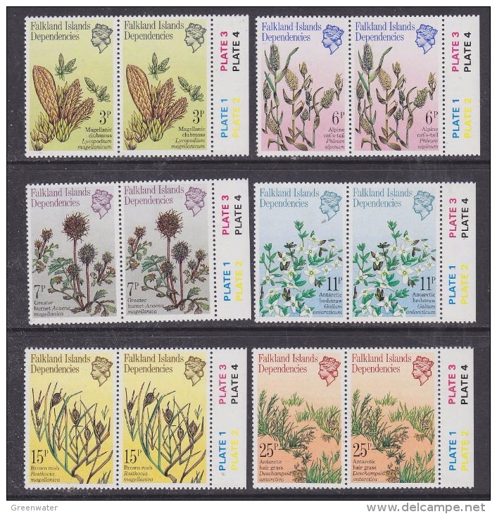 Falkland Islands Dependencies (South Georgia) 1981 Plants 6v  Pair (margins) ** Mnh (30151) - Zuid-Georgia