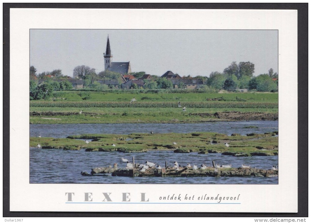 Texel , Gezich Op Den Hoorn   - NOT Used  See The 2  Scans For Condition. ( Originalscan !!! ) - Texel