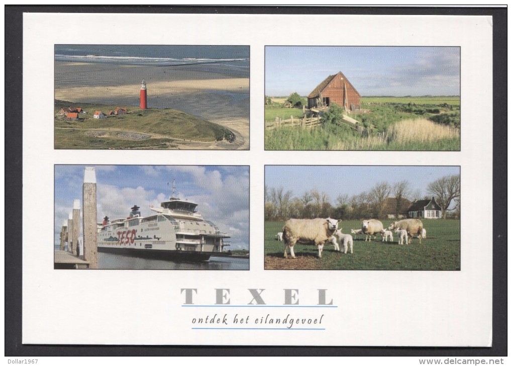 Texel   - NOT Used  See The 2  Scans For Condition. ( Originalscan !!! ) - Texel